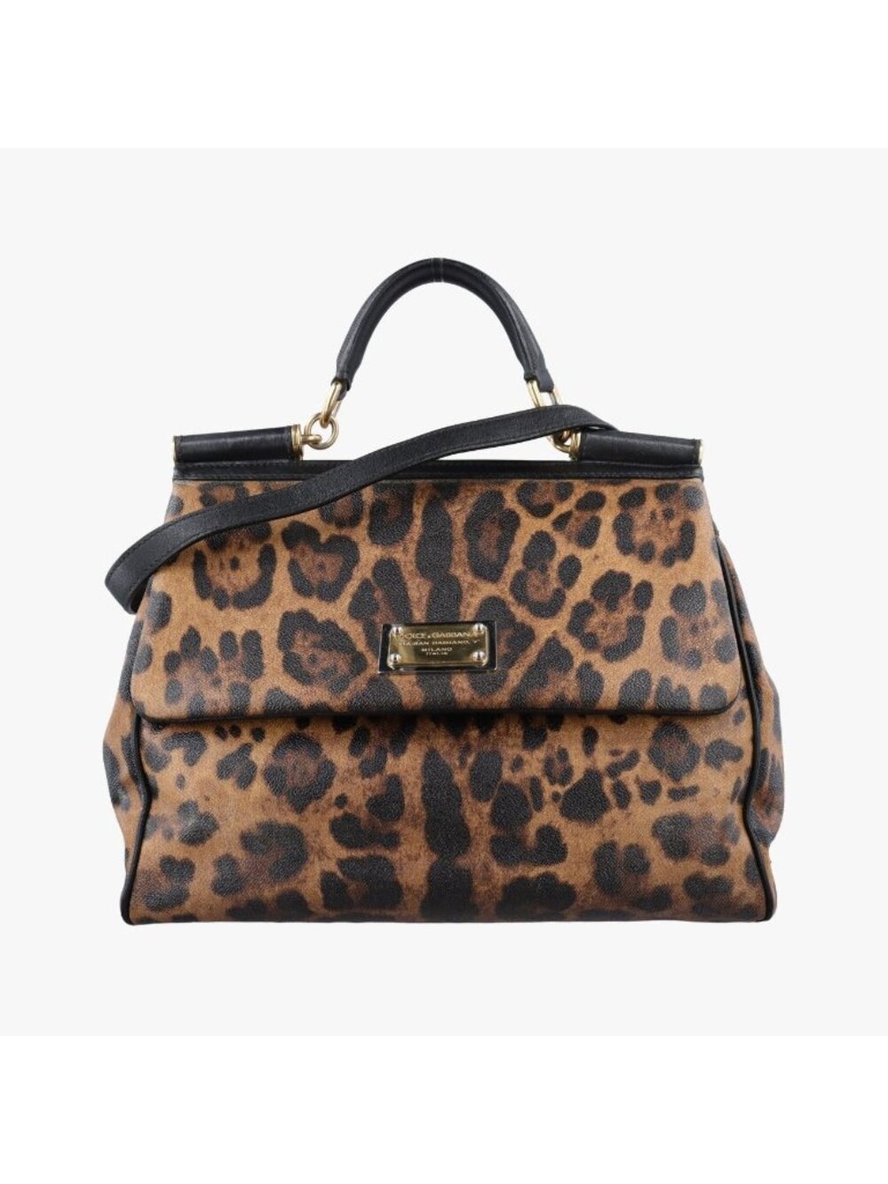 Dolce & Gabbana Sicily Leopard Multicolor